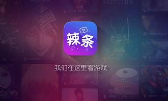 辣条生产爆料视频播放网站,揭秘热门播放网站背后的辣条制作全过程